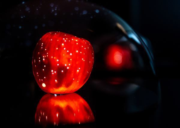 『鈴木康広展　ただ今、発見しています。』7月20日から二子玉川で　観客とともに「発見」する参加型の展覧会