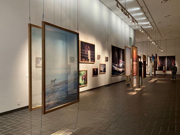 『大地に耳をすます　気配と手ざわり』レポート　自然の声を聴き作品を制作する5名のアーティストたち