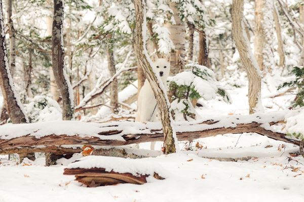 『大地に耳をすます　気配と手ざわり』レポート　自然の声を聴き作品を制作する5名のアーティストたち