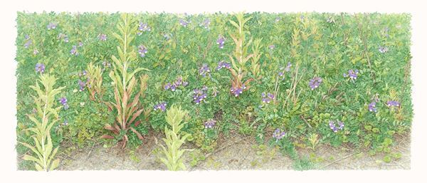 『大地に耳をすます　気配と手ざわり』レポート　自然の声を聴き作品を制作する5名のアーティストたち