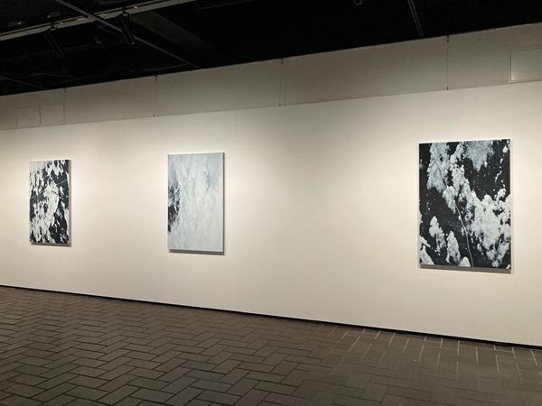 『大地に耳をすます　気配と手ざわり』レポート　自然の声を聴き作品を制作する5名のアーティストたち