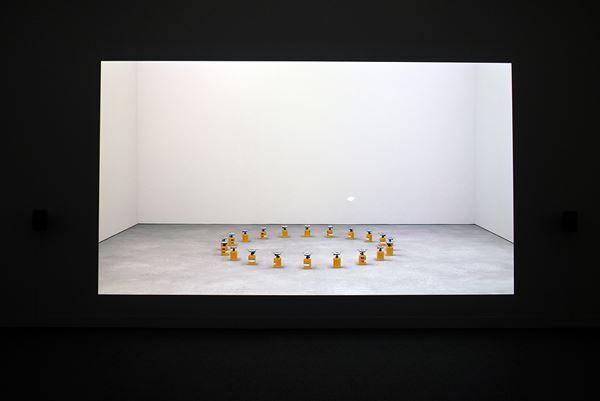 『遠距離現在 Universal / Remote』国立新美術館で開幕　ふたつの視点からコロナ禍を振り返り、未来と向き合う