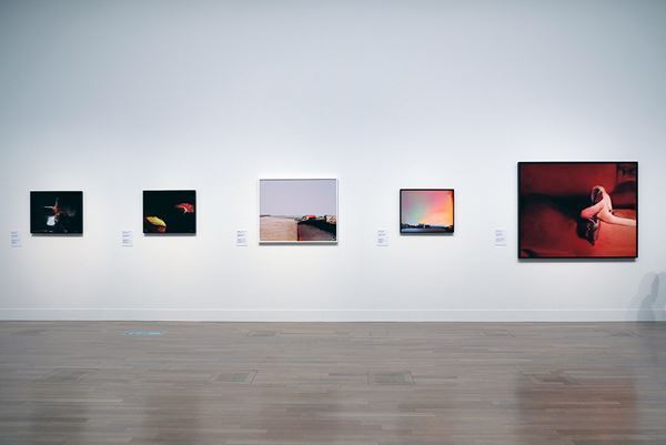 『遠距離現在 Universal / Remote』国立新美術館で開幕　ふたつの視点からコロナ禍を振り返り、未来と向き合う