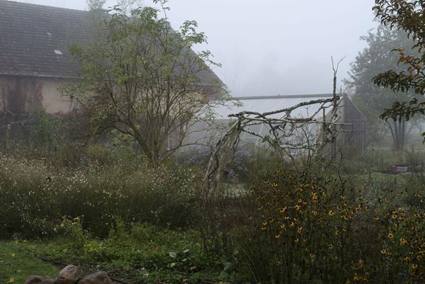 豊田市美術館で『未完の始まり：未来のヴンダーカンマー』開催　博物館の開館にむけてミュージアムの可能性を探る
