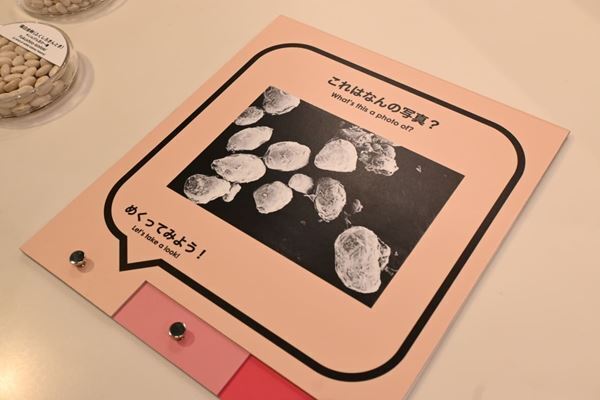 「とらや」クイズや動画を通じて“ようかんをカガク”する特別展を開催【体験レポート】