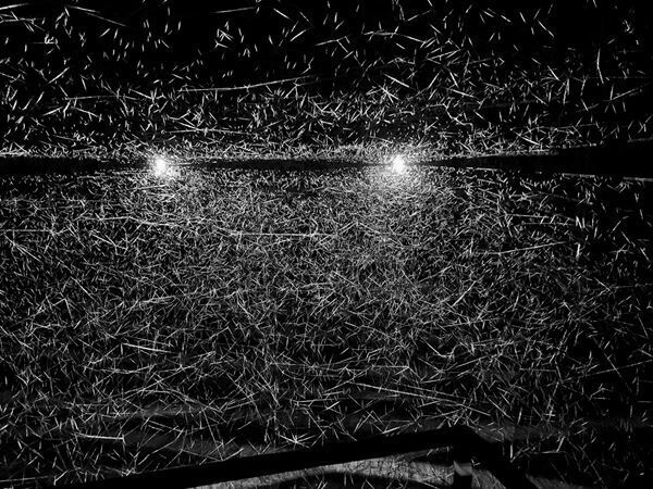 「百年後芸術祭−内房総アートフェス」レポート　地域性が伝わる作品をピックアップして紹介