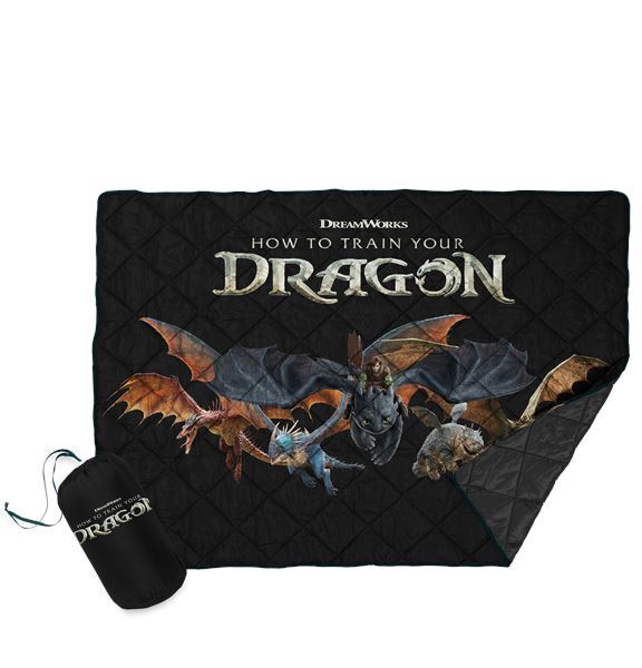 実写版『ヒックとドラゴン』9月5日(金) 公開決定　ティザービジュアルも到着