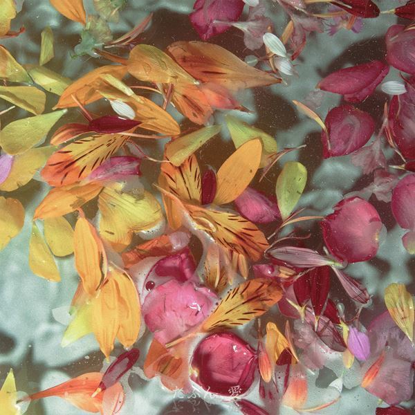 なきごと、EPICレコードジャパンからのメジャーデビュー発表　新曲「たぶん、愛」先行配信