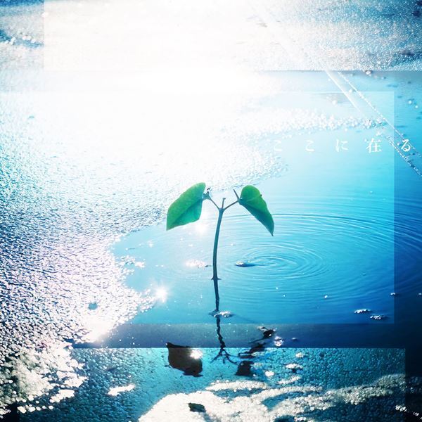 ソナーポケット、ライブ活動再開発表  新曲をサプライズリリース&MV公開