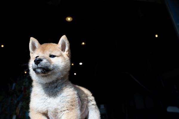 永瀬正敏が過酷な役作りで北斎を熱演『おーい、応為』50代から90歳までを演じ分けた新カット＆メイキング一挙公開