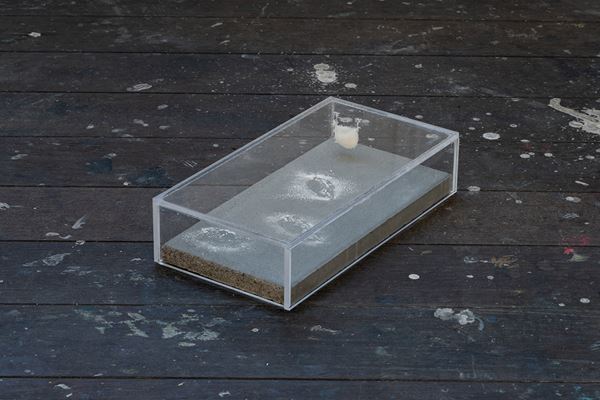 向井ひかり『ザ・ネイムズ・オン・ザ・ビーチ』 2月19日から　応募総数415件から選出された、第1回BUG Art Award グランプリ受賞者個展