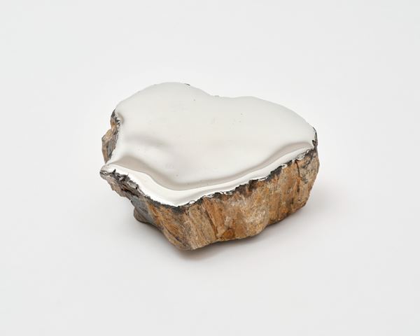 アーティストデュオNerholの新作展、埼玉県立近代美術館で開催　ハナミズキをモチーフにした新作インスタレーションなど約80点で構成