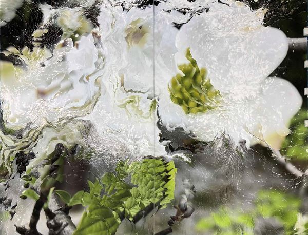 アーティストデュオNerholの新作展、埼玉県立近代美術館で開催　ハナミズキをモチーフにした新作インスタレーションなど約80点で構成