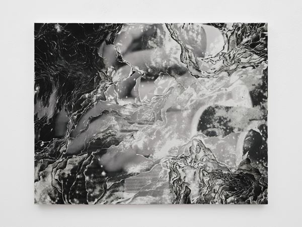 アーティストデュオNerholの新作展、埼玉県立近代美術館で開催　ハナミズキをモチーフにした新作インスタレーションなど約80点で構成