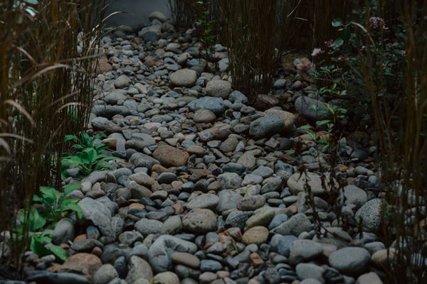 『そのとき、どうする？展 –防災のこれからを見渡す–』7月4日から　WOWのディレクションによる体験型展示を通して「防災」や「災害」を見つめなおす