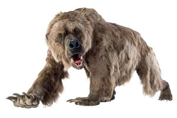 氷河期を生きたネアンデルタール人とクロマニョン人の実物頭骨を日本初公開　特別展『氷河期展 ～人類が見た4万年前の世界～』国立科学博物館で