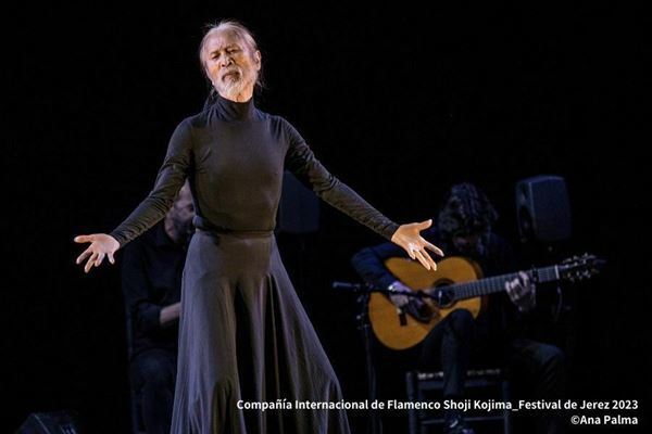 宮城聰、「SHIZUOKAせかい演劇祭2025」プログラム説明　「演劇が不可能と思われていた領域に挑んだ作品」「最も新しい、世界最先端の演劇」