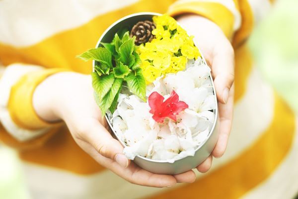 鈴木亮平×有村架純『花まんま』 映画のポイントを予習できるオリジナルイラストが公開に