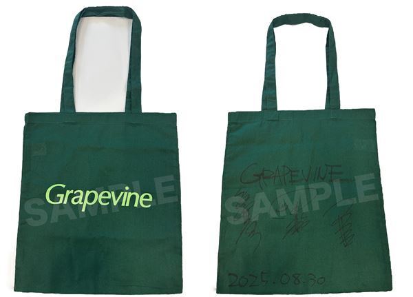 〝なんなんだろう、このバンド〟猛暑の日比谷野音で魅せた、GRAPEVINEの鉄壁ライブ【ライブレポート】