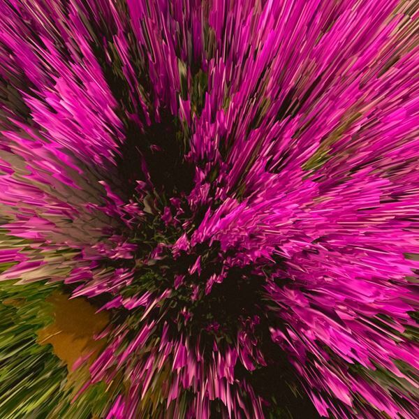 ROTH BART BARON、ニュー・シングル「花吹雪」リリース　MVを11月6日(水)21時にプレミア公開