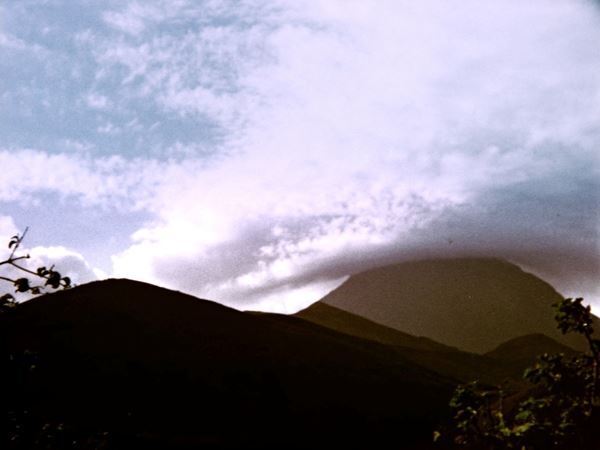 『ペドロ・コスタ インナーヴィジョンズ』東京都写真美術館で　ポルトガルを代表する映画監督による日本では最大規模の個展