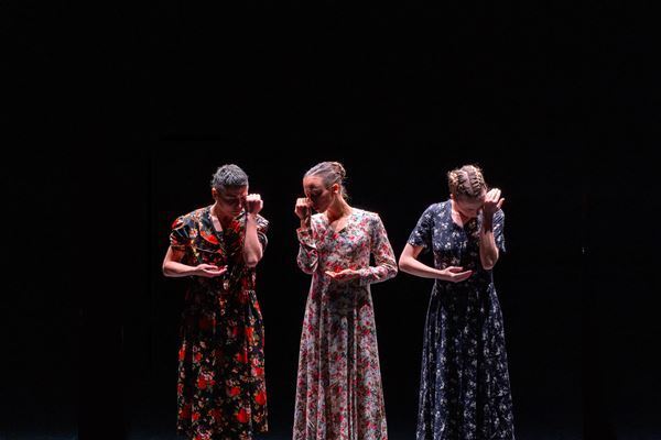 台湾発クラウド・ゲイト・ダンスシアター（雲門舞集）も話題、ヨコハマダンスコレクション2025　31年目の祭典