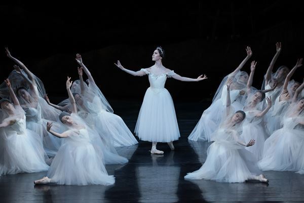 『不思議の国のアリス』アリスの母／ハートの女王に抜擢　新国立劇場バレエ団山本涼杏が語る、新たなチャレンジ