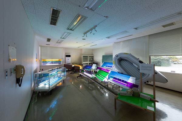 まもなく開幕「瀬戸内国際芸術祭2025」　新エリアも加わり218組による256作品を公開、美術館連携プログラムも