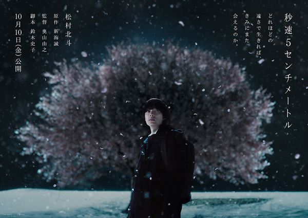 松村北斗が大きな桜の木の前に佇む 『秒速5センチメートル』実写版のティザービジュアル公開