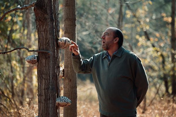 ニコラス・ケイジはキノコに夢中!? 『ドリーム・シナリオ』本編映像〈みんなが見た悪夢編〉公開