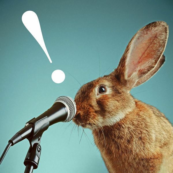 同い年のレーベルメイトで宿命の友、マカロニえんぴつが登場　ハンブレッダーズ『秋のグーパンまつりZ 2024』大阪公演レポート