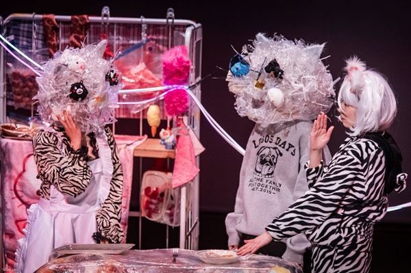 ロームシアター京都でまもなく開幕　日・韓・香の錚々たる出演者が繰り広げる市原佐都子／Q『キティ』