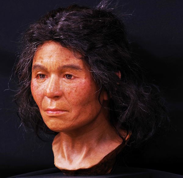特別展『古代ＤＮＡ―日本人のきた道―』国立科学博物館で最新のゲノム解析結果をもとに日本人のルーツをたどる