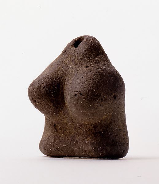 特別展『古代ＤＮＡ―日本人のきた道―』国立科学博物館で最新のゲノム解析結果をもとに日本人のルーツをたどる