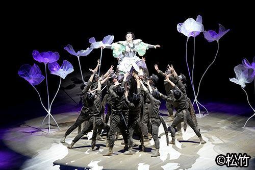 十周年を迎える“超歌舞伎”をはじめ、年の瀬を華やかに飾るラインナップ。歌舞伎座「十二月大歌舞伎」開幕　