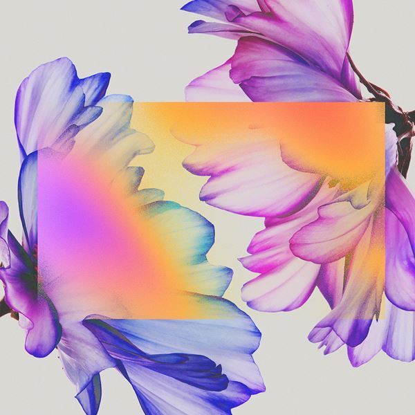 シャイトープ、全国16都市巡るツアー完走　新曲「再会」MVを今夜プレミア公開【オフィシャルレポート】