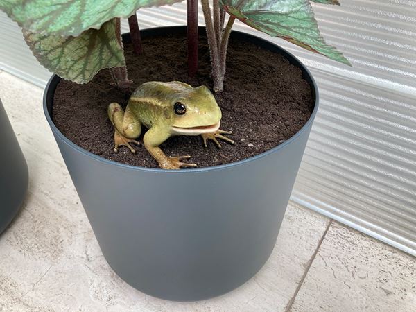 【展示レポート】『ライアン・ガンダー：ユー・コンプリート・ミー』　ポーラ美術館の内外に点在する“鑑賞者が完成させる作品”