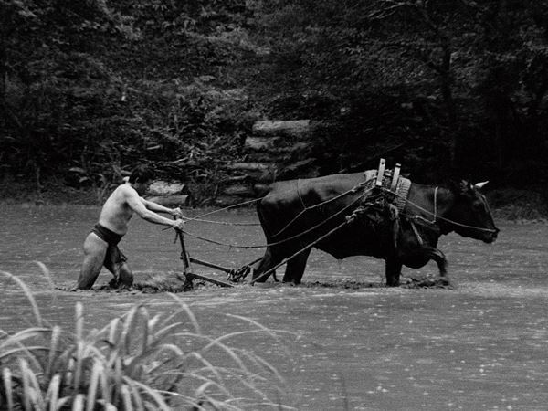 坂本龍一が参加を表明していた映画『黒の牛』公開日決定　台湾の名匠ツァイ・ミンリャン監督によるコメントも到着