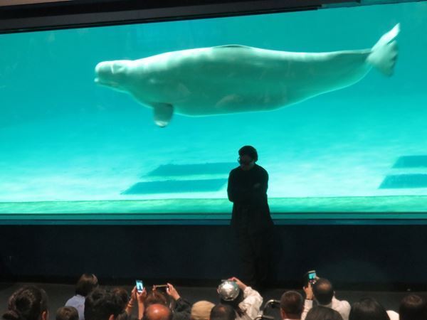 レイザーラモンRG、51歳誕生日前夜に「あるある」全開！ ファンサプライズに感激のバスツアーオフィシャルレポート