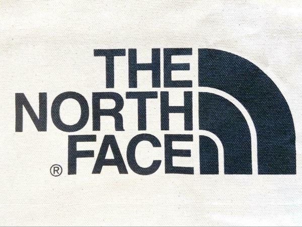 ノースフェイスの“めちゃ軽バッグ”が最高だった！　コンパクトに折りたためて持ち運びにも便利♪