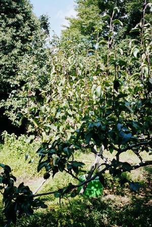 『鷹野隆大 カスババ』東京都写真美術館で　日常をテーマにしたスナップショットなど約120点を展示