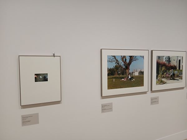 【展示レポート】『遠い窓へ　日本の新進作家 vol.22』5名のアーティストがつむぐ物語に思いを寄せる