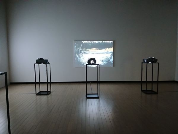 【展示レポート】『遠い窓へ　日本の新進作家 vol.22』5名のアーティストがつむぐ物語に思いを寄せる