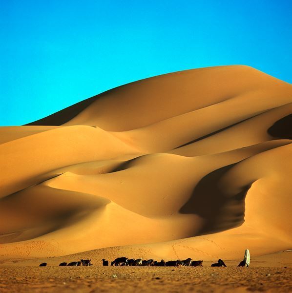 『野町和嘉―人間の大地』世田谷美術館で　世界各地の人々の信仰と暮らしを撮り続けてきた写真家の50年にわたる足跡をたどる