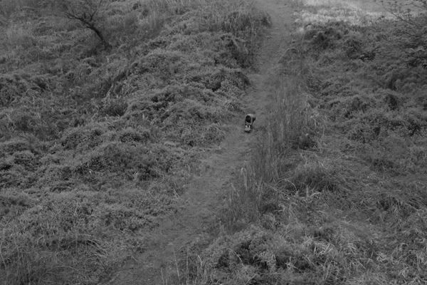 リー・キット、潘逸舟ら8名が、非常が常態化する現代社会をテーマに作品を展示　特別展『非常の常』国立国際美術館で