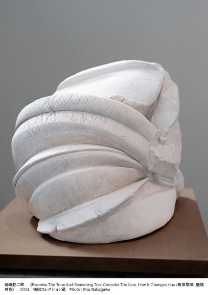 造形作家、岡﨑乾二郎の東京では初の大規模個展が東京都現代美術館で開催　新作・近作約100点を中心に過去の代表作も網羅