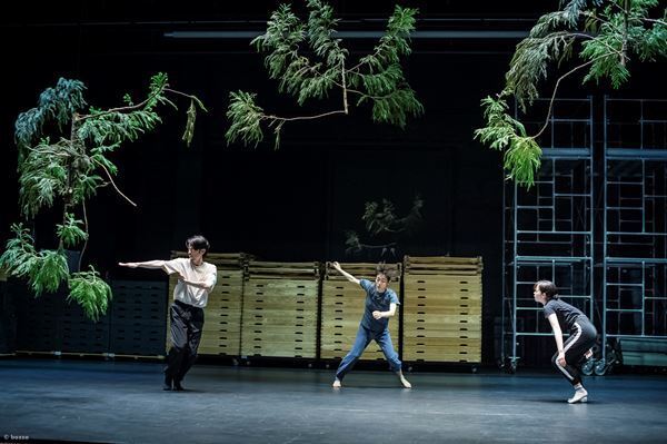 名古屋のまちでダンスを満喫！　初のフェスティバル形式によるパフォーミングアーツ・セレクション2025が間もなく開幕