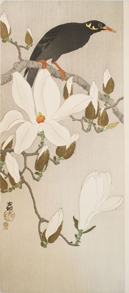 『没後80年　小原古邨　―鳥たちの楽園』太田記念美術館で　初出品作を多数含む約130点で再評価が高まる古邨の花鳥画の世界を展観