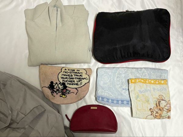 3COINS、折りたためるキャリーオンバッグが凄かった！　容量アップもできるすぐれもの