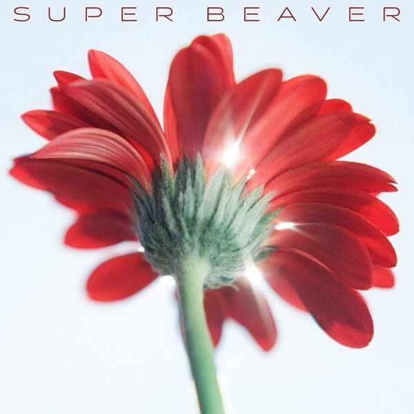 SUPER BEAVER、東名阪ツアーとZepp Shinjukuのアニバーサリーライブ開催決定